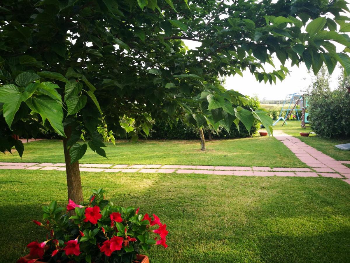Agriturismo Alturetta Riotorto Ngoại thất bức ảnh
